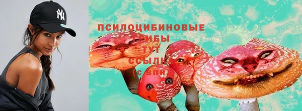 МДПВ Арсеньев
