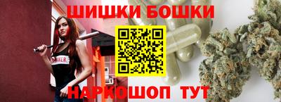 гидра Ставрополь