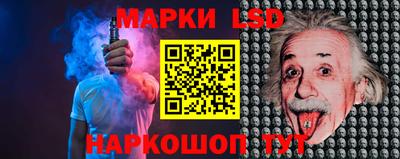 гидра Ставрополь