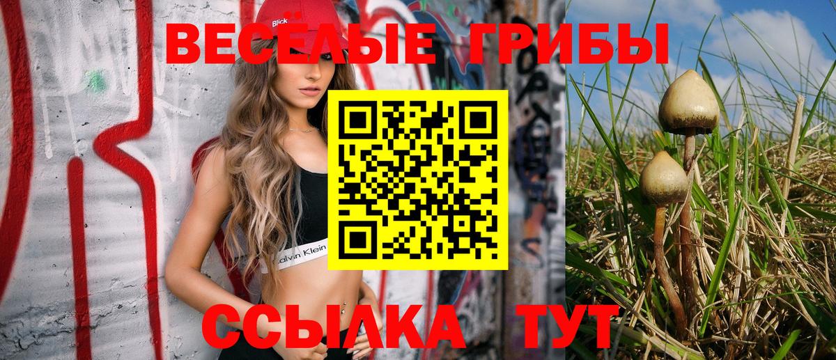Галлюциногенные грибы Psilocybine cubensis  Вход с VPN  Псилоцибиновые грибы мицелий  цены   Строитель 