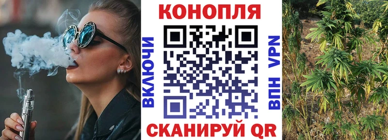 Бошки Шишки OG Kush  как найти закладки  Строитель 
